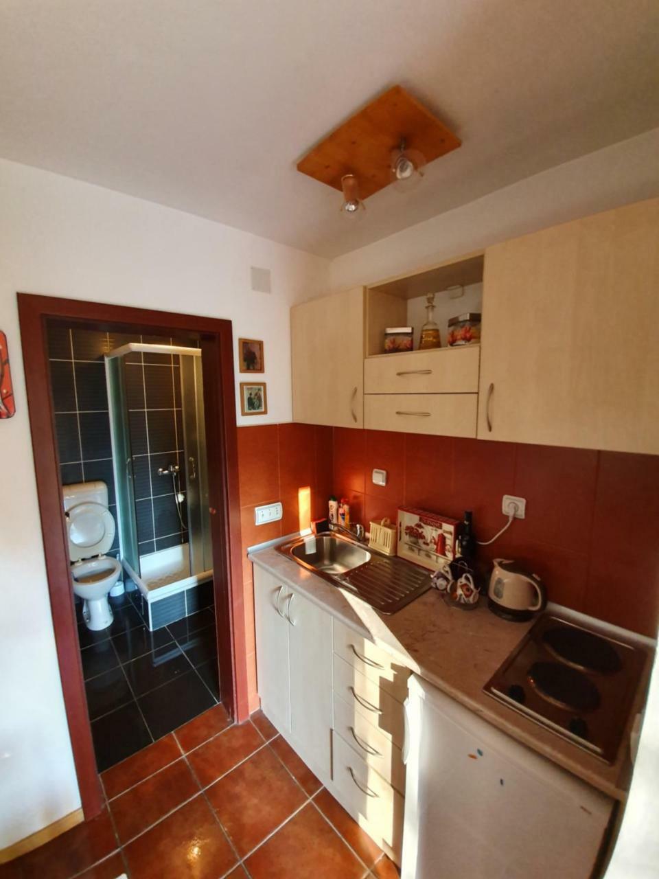 Apartment Matija Zlatibor Eksteriør billede
